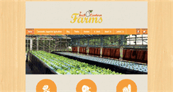 Desktop Screenshot of jackolanternfarm.com